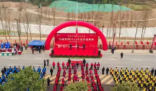 08年卢森堡旗手